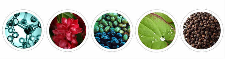 Second chance surgeon