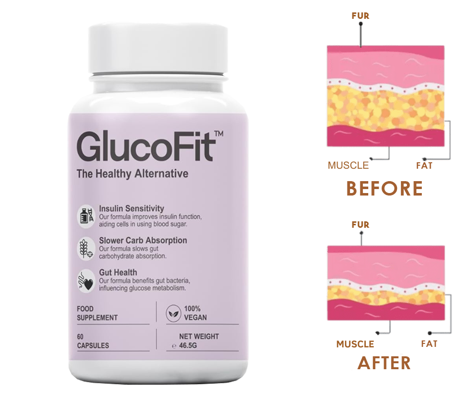 Département Européen de la Santé